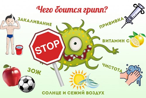 Чего боится грипп?